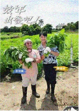 6080电影网都市治愈剧午夜食堂的第七桌在线观看