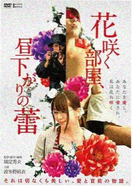 6080电影网文艺电影潮汐图书馆高清在线观看